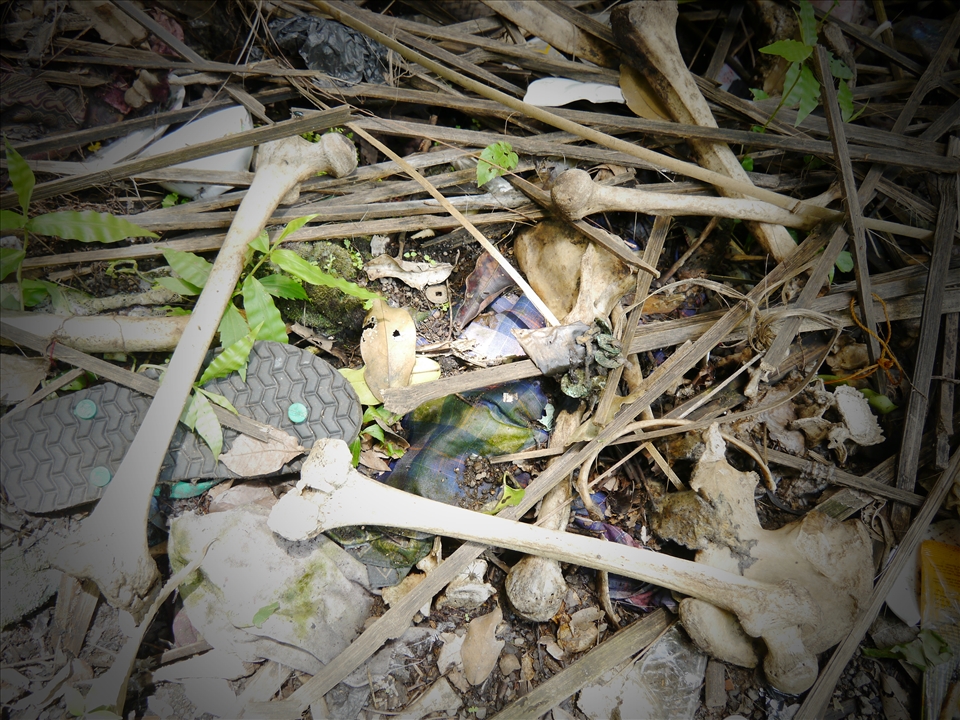 Humans bones mixed with garbage as proof of foreign influence 