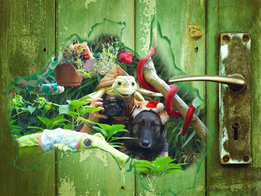 Photo for a Creative Scholarship contest to study photography in Australia