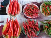Hot peppers, a common Thai spice: by teresa421, Views[373]