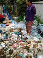 Seasoning at the market: by teresa421, Views[324]