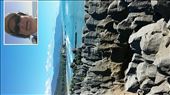 by teresa421, Views[185]