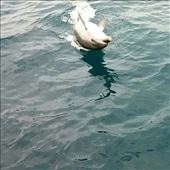 by teresa421, Views[127]