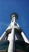 Highest point in auckland, skytower: by teresa421, Views[218]
