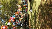 by teresa421, Views[315]