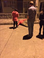 El Año Viejo: by teresakast, Views[334]