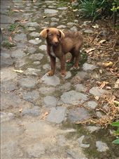 Oso :): by teresakast, Views[253]