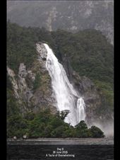 by terrihorner, Views[351]