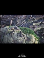 by terrihorner, Views[225]