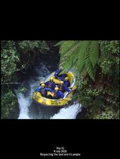 by terrihorner, Views[211]