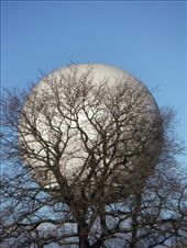 by tesilya, Views[256]