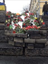 by tesilya, Views[146]