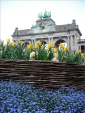 by tesilya, Views[163]