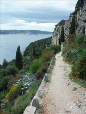 by tesilya, Views[131]