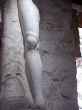 by tesilya, Views[116]