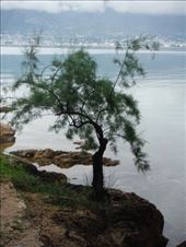 by tesilya, Views[122]