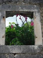 by tesilya, Views[129]