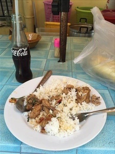 My very first Thai meal! Chicken curry and a bottle of coke. 