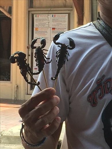 Scorpions anyone? I did not partake