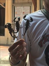 Scorpions anyone? I did not partake: by tess311, Views[154]