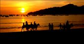 Horseback riders silhouetted against a golden beach sunset : by tezatravels, Views[220]