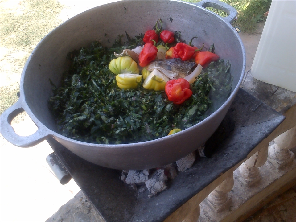 Ingredients going in