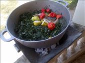 Ingredients going in: by tgvonline, Views[301]