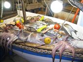 Fresh fishes and differents kinds of sea inside the boat is advertisement to attract tourists in a traditinal restaurant in the town of Naxos: by thanos, Views[415]