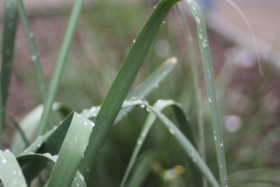I took this is grade 12 while playing with my teachers camera.