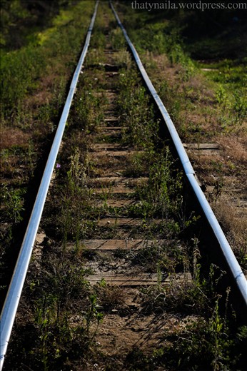 Os trilhos que trazem a alegria de algum lugar