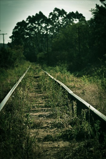 Os trilhos que levam até a minha Minas Gerais