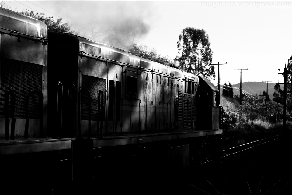 São vagões que a muito tempo estão esquecidos