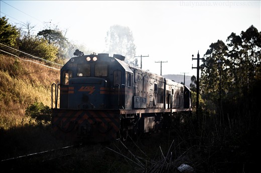 Minas Gerais nunca perdeu sua maria fumaça