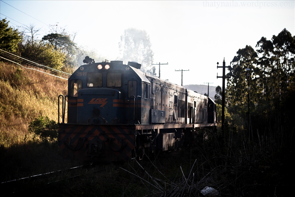 Minas Gerais nunca perdeu sua maria fumaça