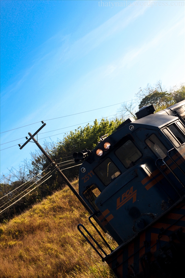 O trem viaja devagar e você pode observar