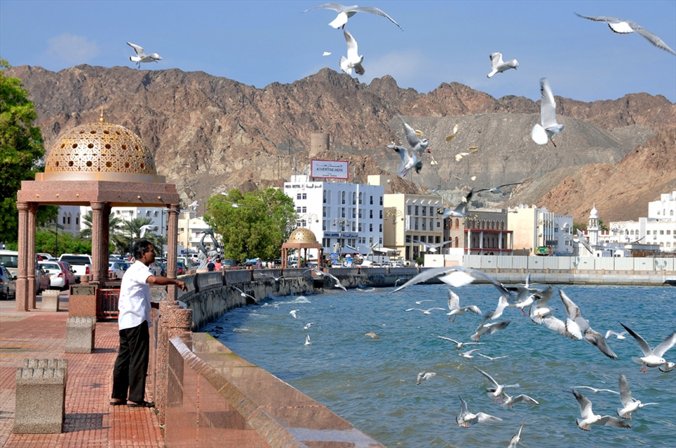 The story of Muttrah begins with the starting of searching trip for food in morning.