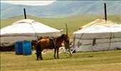 A Horse is tied up outside two Gerrs, Mongolian huts wrapped in canvas : by the_steppe, Views[767]