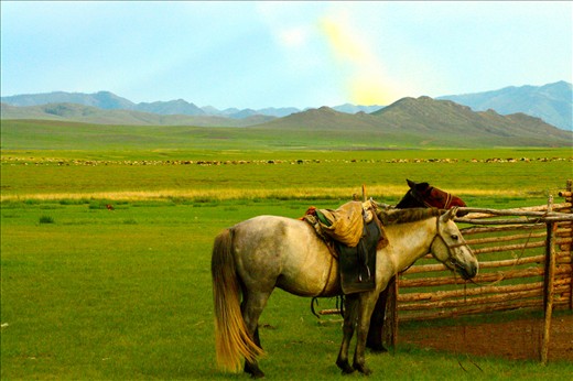 Two Horses tied up in a paddock, in front of the first rays of a rainbow
