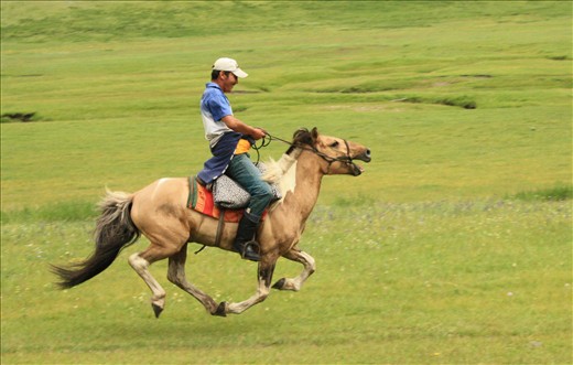 A nomad gallops across the plane on a makeshift saddle