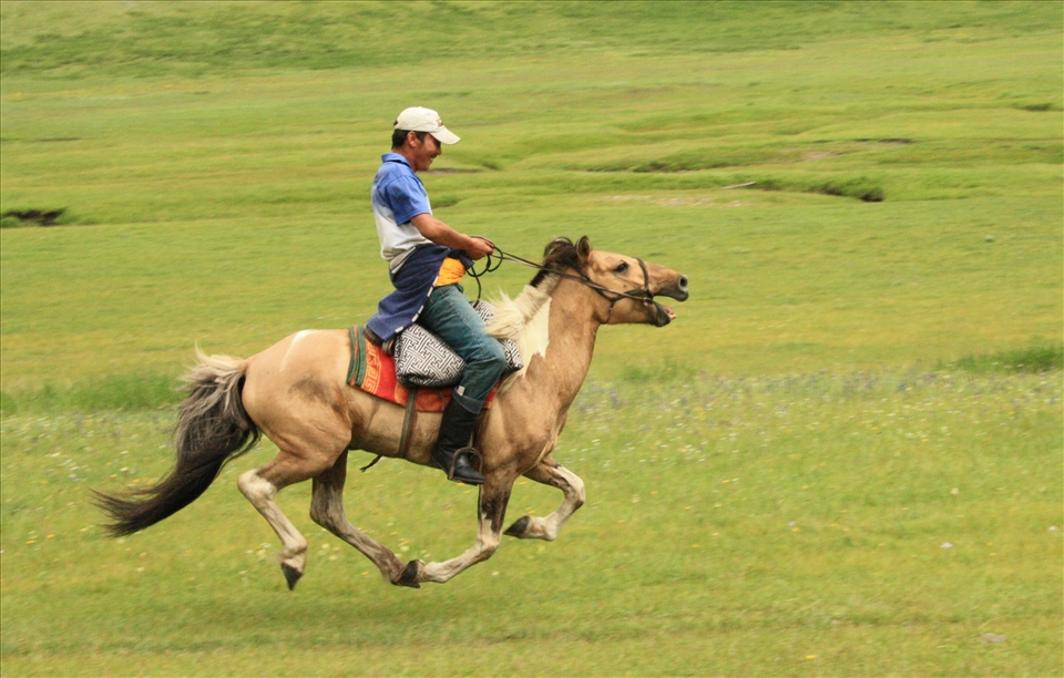 A nomad gallops across the plane on a makeshift saddle