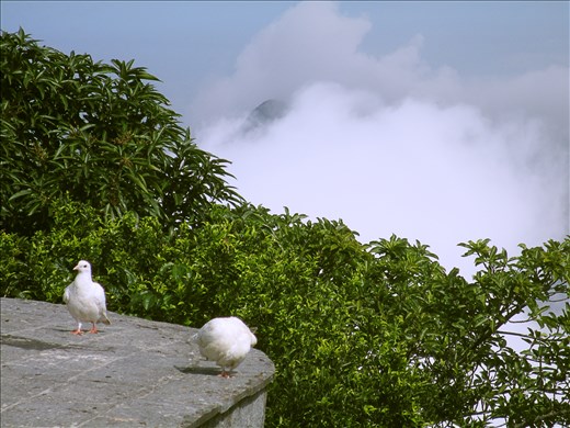 Rio de Janeiro, 2015