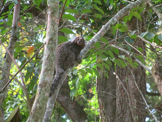 Rio de Janeiro, 2015