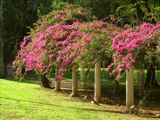 Rio de Janeiro, 2015