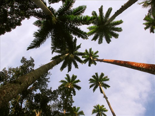 Rio de Janeiro, 2015