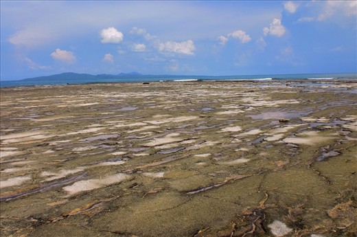 This is under the sea; on a low tide.