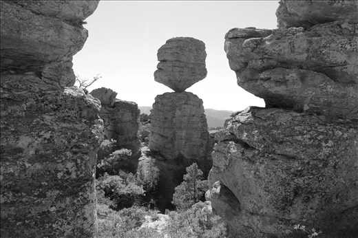 Nature achieving perfect harmony, an element frequently absent in the region.