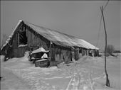 -17°C. At first sight, a lonely barn stands surrounded by snow and silence in a remote countryside. However, the life inside is in full swing. Nine cows, one calf and little kitten share one roof. : by thebarn, Views[288]