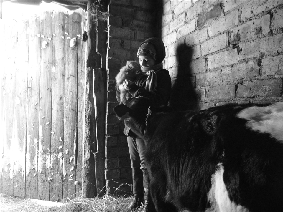 A 12 year old village girl is smiling shyly and firmly holds her best friend. The calf curiously tries to smell the kitten. The little trio is tranquil and in peace. 