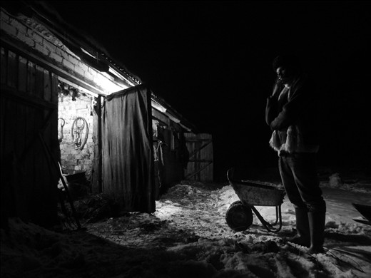 Well deserved brake. To keep the barn as clean as possible is an endless struggle for a farmer. The dirt is piling up rapidly as animals are kept inside 24 hours during winter months due to the harsh weather. Cows eagerly wait for spring to come: finally they will be free to roam in the fields.  