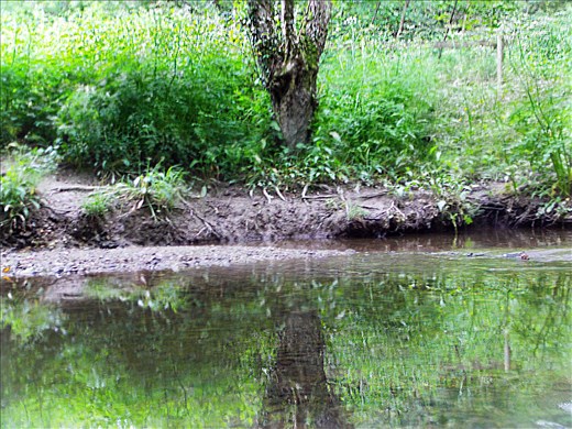 i like to believe that symmetry shows two sides of everything  