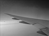 Flying home sweet home - Inside the flight,  the wing of the aircraft flying above clouds  taking everyone home: by thebookoftravel, Views[737]